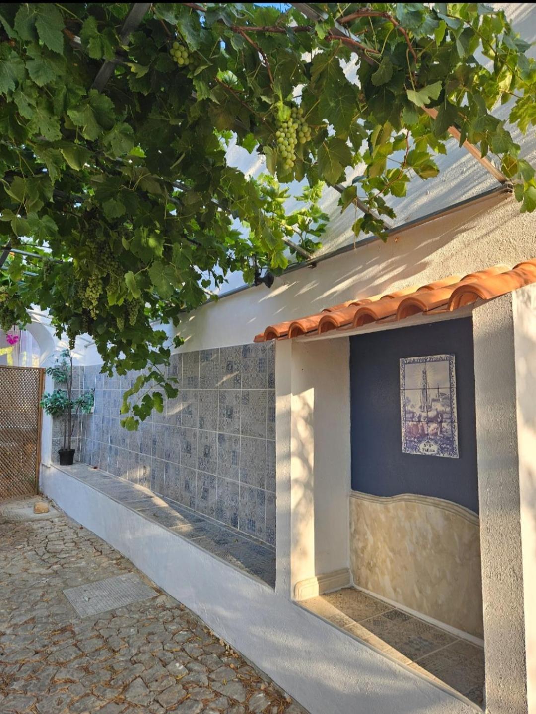Casa Aventura 호텔 볼리케임 외부 사진