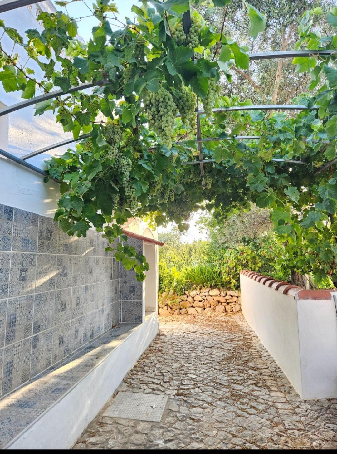 Casa Aventura 호텔 볼리케임 외부 사진